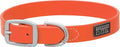 Terrain D.O.G. Brahma Webb Dog Collar