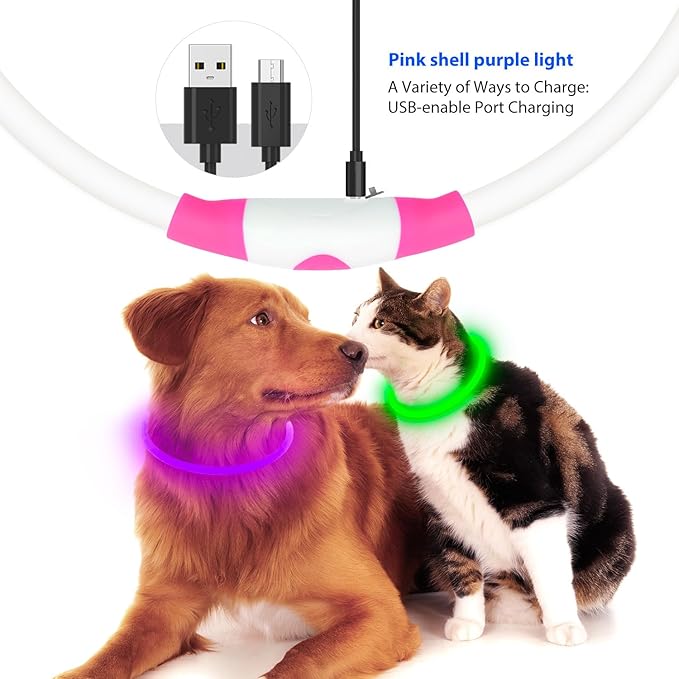 Flashseen LED Dog Collar, USB Rechargeable Glowing Lighted Up Collar, Cuttable Water-Resistant TPU Safety Collar Lights for Small Medium Large Dogs (Purple)