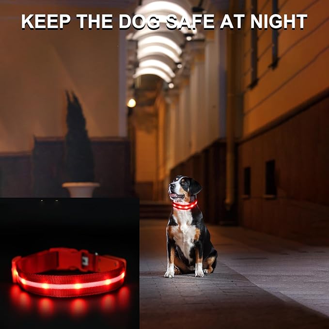 CHUKCHI LED Dog Collar Rechargeable,Waterproof Flashing Collar,Light Up Glow Collar, Adjustable Soft Safety Light Up for Small Medium Large Dogs Walking Camping at Night (Red-S)