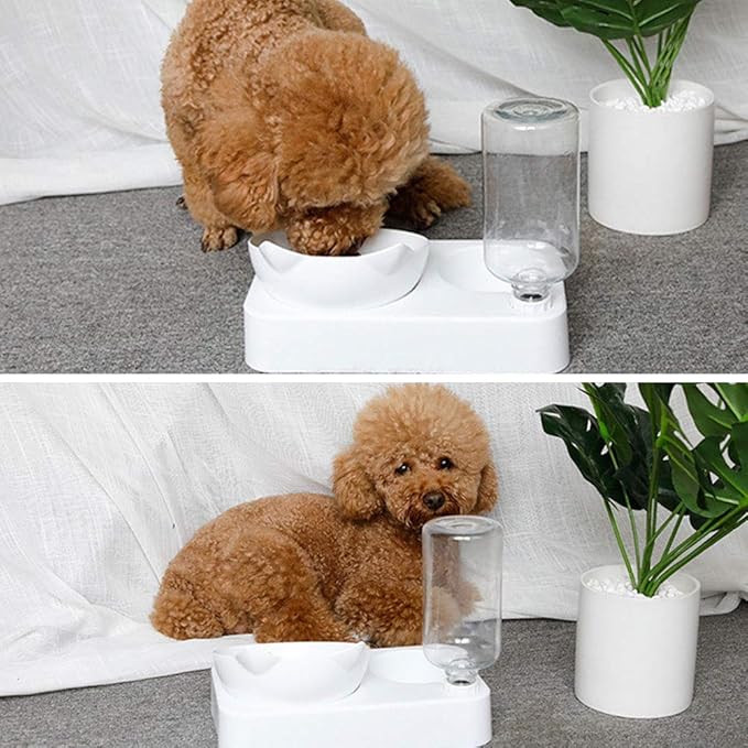 Pssopp Double Pet Feeder Bowl, 15 d Tilted Food Water Feeder with Automatic Waterer Bottle, for Small Medium Size Pets, Made of Premium PP Material, No Require of Extra Bowls (L)