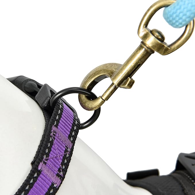 Mile High Life Dog Collar | Nylon Reflective Dog Collars | Light Weight Puppy Collars | Purple Dog Collars for Large Dogs (Purple, Large)