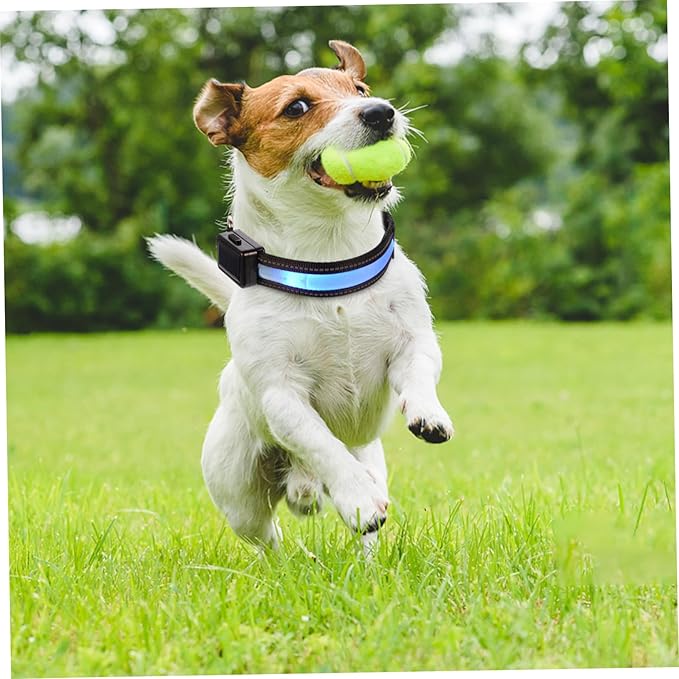Happyyami Led Solar Collar for Dogs Night Safety Pet Supplies Cute Dog Collar USB Rechargeable
