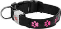 Night Scout Dog Collar Pink Large