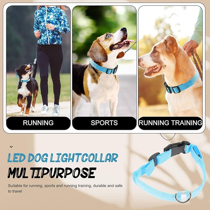 GLEAVI Pet Luminous Collar Rechargeable LED Light up Dog Collar Adjustable Blue Medium for Small Dogs and Cats Safety Neck Decoration