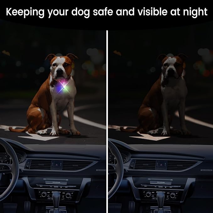 Dog Collar Light, 2 Pack Rechargeable Dog Light Clip On, 80LM Brightness 4 Color Modes Dogs Lights for Night Walking, Waterproof Pet Camping Essentials for Running, Cycling, Hiking (White)