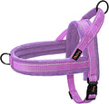 Didog Soft Flannel Padded Dog Vest Harness, No Pull/Quick Fit Reflective Dog Strap Harness, Easy for Training Walking (XS:Chest 15-18", Purple)