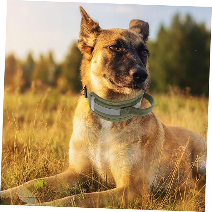 Milisten Adjustable Reflective Dog Collar for Dogs Comfortable Padded Design Buckle for Outdoor Use Heavy-Duty and