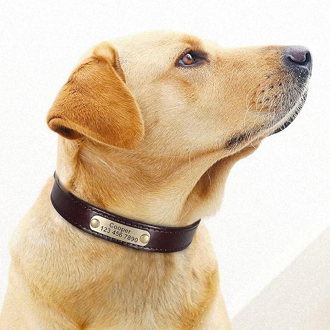 Personalized Leather Dog Collar Custom Dog Collars Leather Gold Buckle Pet ID Collar for Small Medium Large Dogs Dobermann Dark Brown L