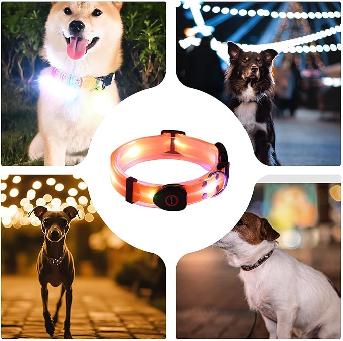 Light Up LED Dog Collar - Rechargeable Pet Necklace Accessory, Adjustable Luminous Collar,PVC Rubber Coated LED Dog Collarr Specification | Lighted Outdoor Protectionfor Small,Medium and Large Breeds