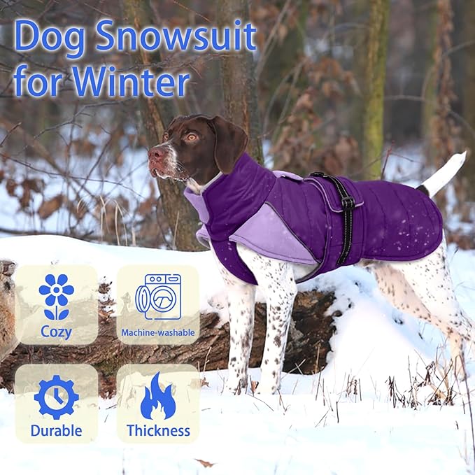 MIGOHI Dog Winter Coat - Reflective Medium Dog Snow Jacket with Thick Turtleneck,Windproof Pet Fleece Vest, Cold Weather Coat for Medium Dogs, Snowproof for Hiking,Camping,L,Purple