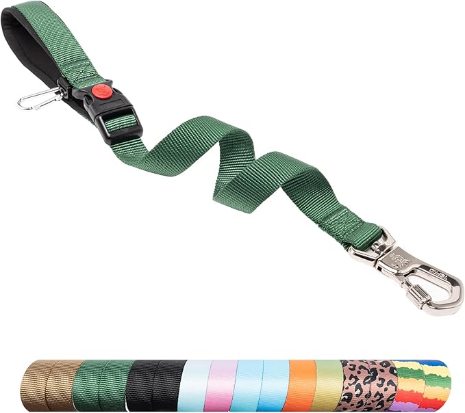 TSPRO Dog Training Leash with Sturdy Metal Buckle, 20 Inches Adjustable Short Leash for Large Dogs, Comfortable Padded Handle (Green)