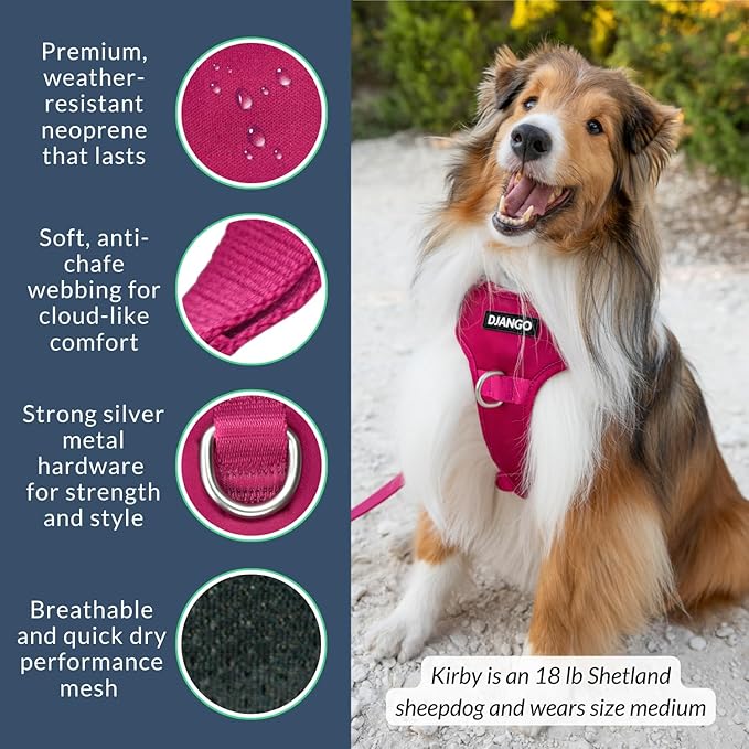 DJANGO Tahoe No Pull Dog Harness – Escape-Proof Dog Harness for Small Dogs with Front & Back Clips for Everyday Use – Adjustable, Padded, Reflective, Secure Fit, Easy On/Off – Hibiscus Pink, Small