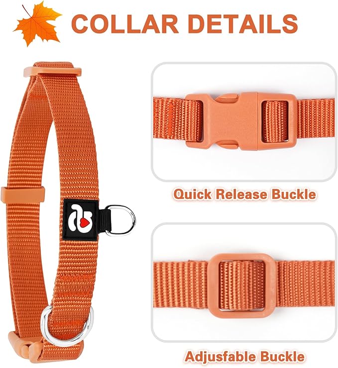 azuza 3 Pack Fall Dog Collars Comfortable and Adjustable Nylon Dog Collars for Medium Dogs, M (14-20inch)， Ginger Yellow, Rust Orange and Latte Brown
