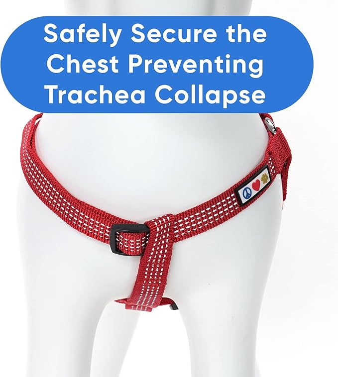 Pawtitas Reflective Step-in Dog Harness – Adjustable No-Pull Vest for Puppies to Seniors, Safe & Comfortable, XS Red