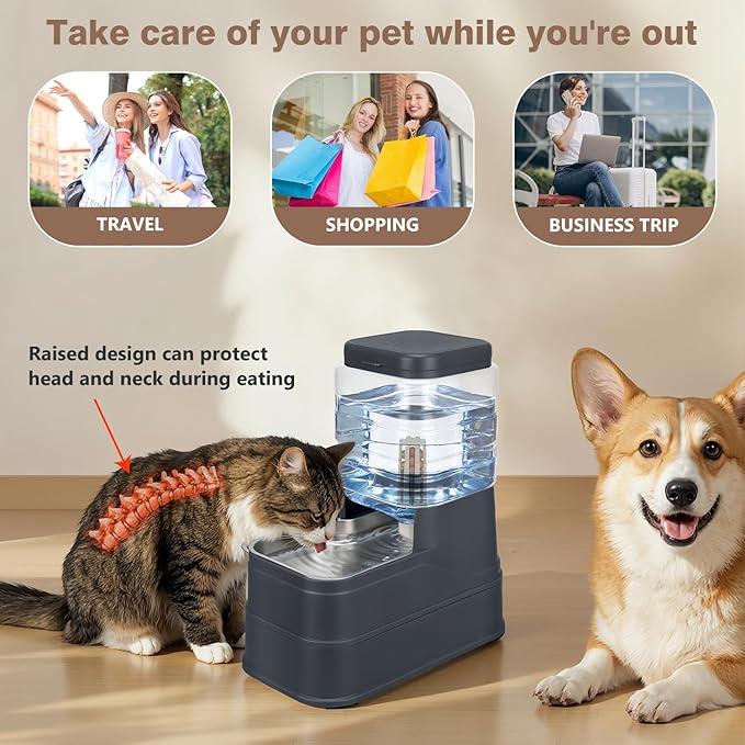 1.1 Gallon Pet Automatic Dog Water Dispenser Cat Gravity Waterer Feeder with Stainless Steel Bowl Large Capacity Puppy Feeding Raised Bowls with Filter,Ice Pack (Charcoal Gray, 4L(1.1 Gallon))