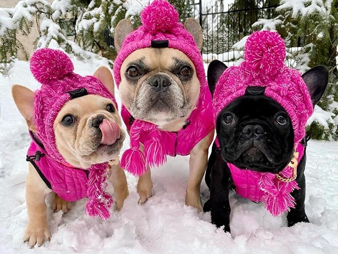 Winter Dog Hat,Knitting Wool Cap,Warm Pet Head Wear with Long Braid Puppy’s Head Accessorie (Purple S)