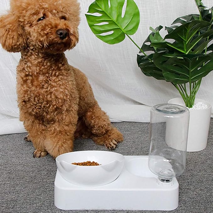 Pet Feeder with Automatic Water Dispenser Bottle, 15° Adjusting Tilted Neck Protection Cat Dog Feeding Bowl, Pets Water and Food Bowl Set for Cats Dogs