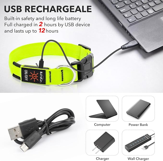 Illumifun LED Collar for Small Dogs, USB Rechargeable Light Up Dog Collar, Flashing Pet Safety Light Glow in The Dark (Green, Small)