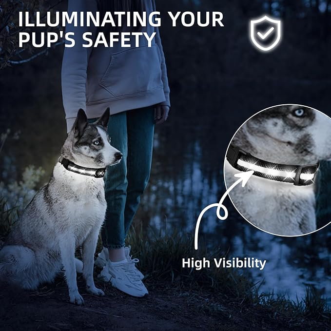 LED Dog Collar for Small Dogs Cats - Fully Waterproof & Adjustable Glow Collar - USB-C Rechargeable for Night Walking, Safety - Flashing Lighted Collar for Dogs(White,XS)