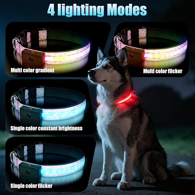 LED Dog Collar - Brightest Light Up Dog Collars - 1,600 Feet of High Visibility - Magnetic Charging - Dog Lights for Night Walking, Heart Medium