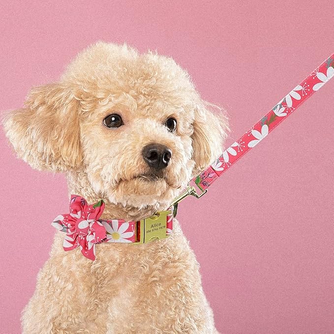 Flower Custom Dog Collar Leash Floral Printed Nylon Pet Dog Collars Lead Personalized Puppy Collars for Small Medium Large Dog 151 red Set L