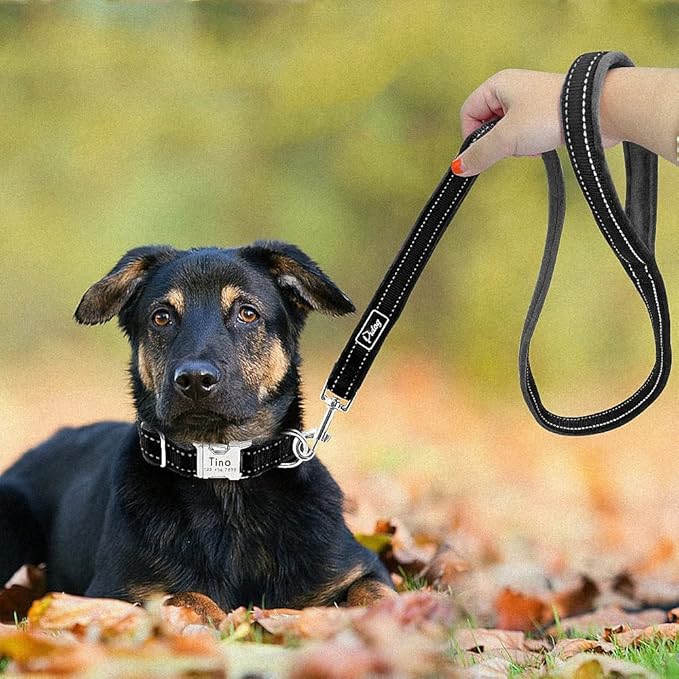 Dog Collar Leash Set Personalized Soft Reflective Dogs Collars Lead Padded for Small Medium Large Dogs French Bulldog Pitbull Black M