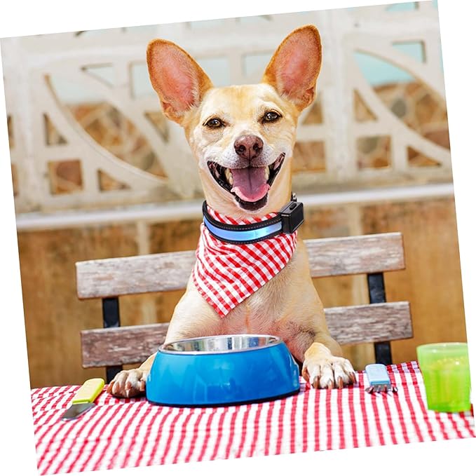 USB Rechargeable Led Light up Dog Collar Solar Powered Glow Collar for Dogs and Puppies Comfortable Material Easy Release Buckle Blue s