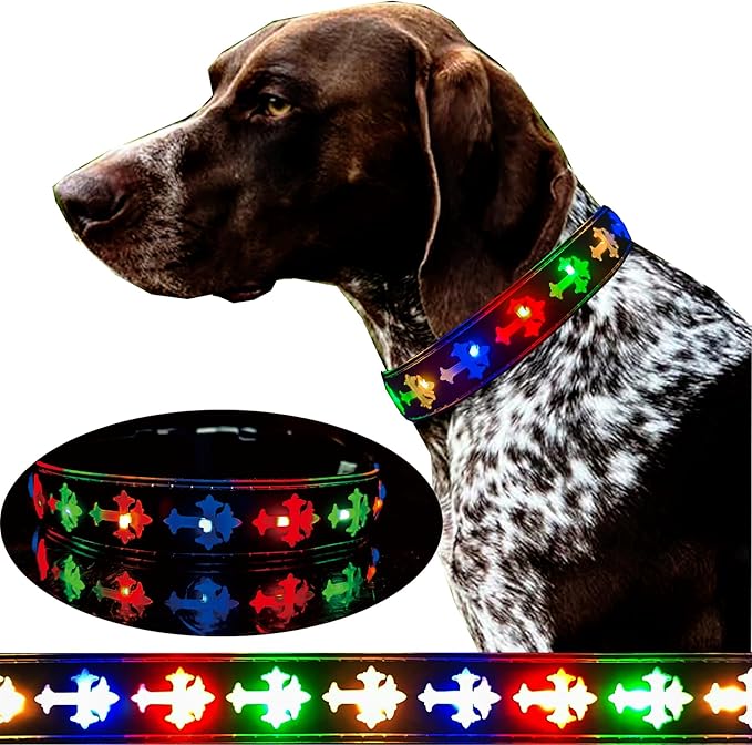 Subversive USB-C led Light up Dog Collar,Star Running LED Design Comfortable and Soft Material,Multicolored Lighting (CR-Black, M(11.8-15.7"))