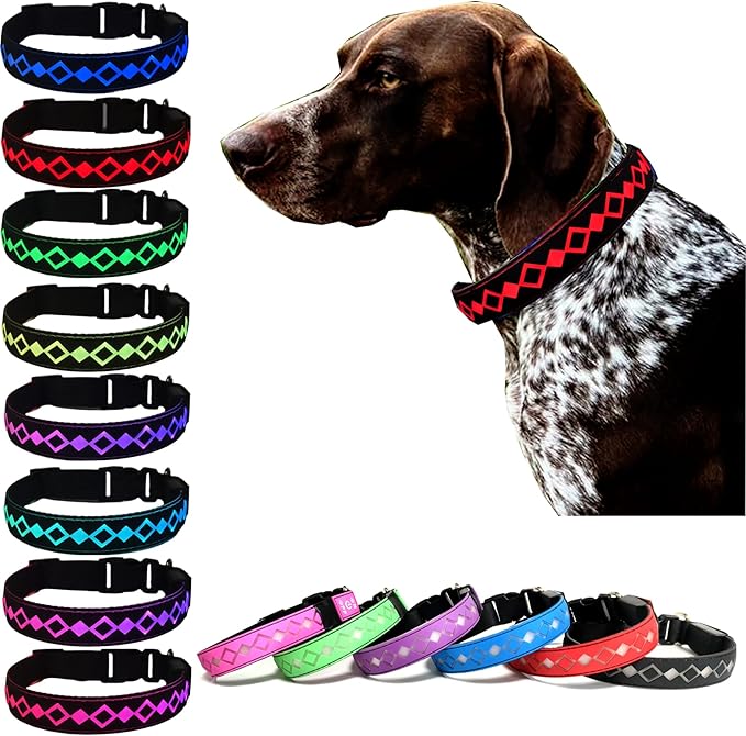 LED Dog Collar with ID Tag, 15 Light Modes, Waterproof Silicone, Night Safety (Black, S(7.87-11.8"))