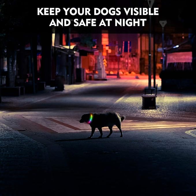 LED Dog Collar, Rechargeable RGB Color Changing Light Up Dog Collars, Waterproof Dog Lights Make Pet Visible and Safety for Night Walking，Outdoor, Camping, for Small Medium Large Dogs