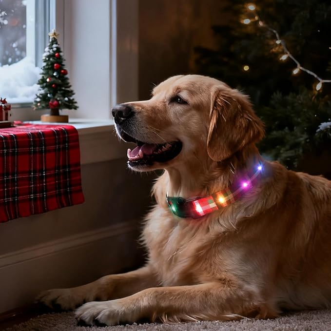 Christmas Light Up Dog Collar, LED Dog Collar Glow in The Dark - USBC Rechargeable, Adorable Plaid Pattern Christmas Collar for Medium to Large Dogs - Comfortable & Cute Xmas Dog Collars, Plaid L