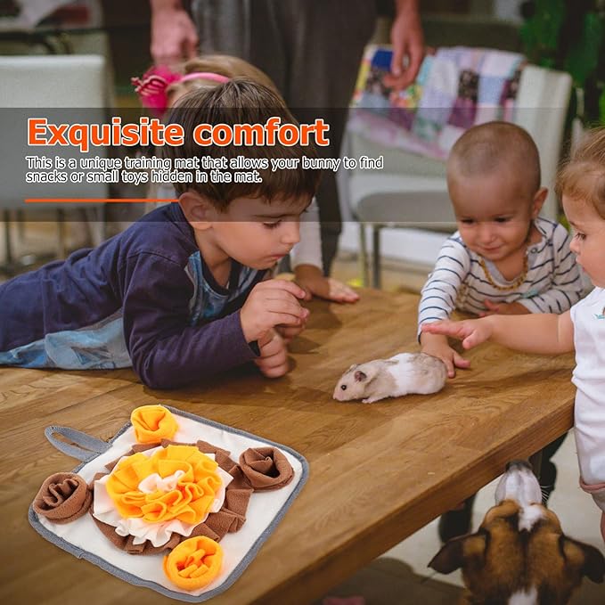 Intelligence Toy for Rabbit Pet Training Pads for Dogs Obesity Prevention