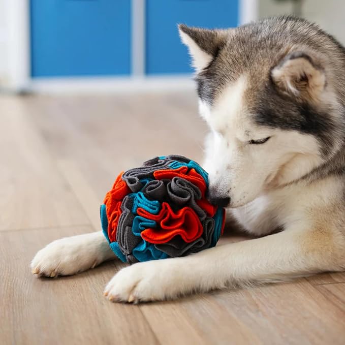 Messy Mutts Round Forage Ball | 6” x 6” Snuffle Ball Puzzle for Dogs | Stimulating Sniffing Interactive Puzzle for Dogs