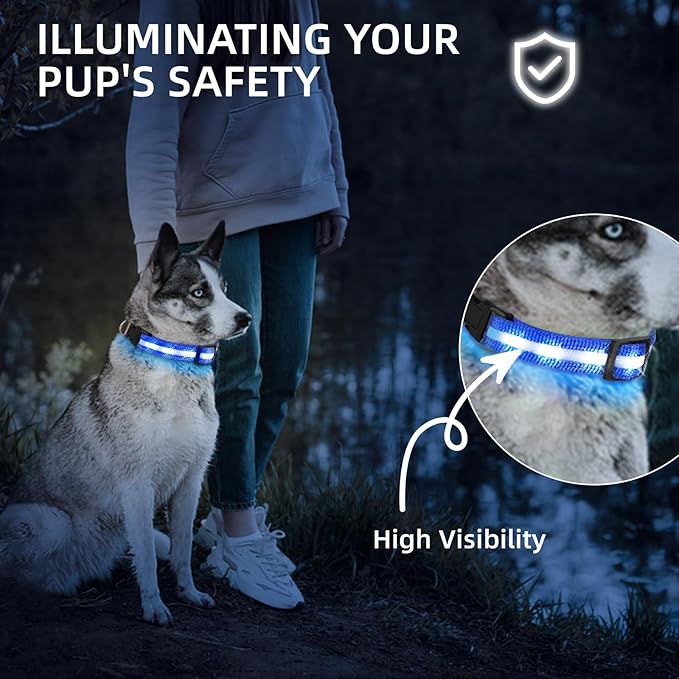 LED Dog Collar for Small Dogs Cats - Fully Waterproof & Adjustable Glow Collar - USB-C Rechargeable for Night Walking, Safety - Flashing Lighted Collar for Dogs(Blue,S)
