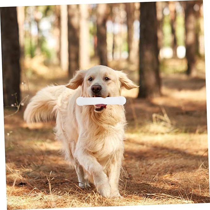 Toyvian Dog Scent Training Kit Multipurpose Scent Work Supplies Nose Training Tool for Service Dogs