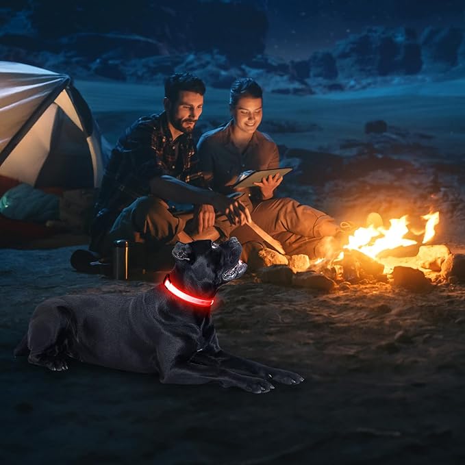 Illumifun LED Dog Collar, USB Rechargeable Light Up Dog Collars, Flashing Dog Collar Light for Your Dogs Walking at Night (Red, X-Large)