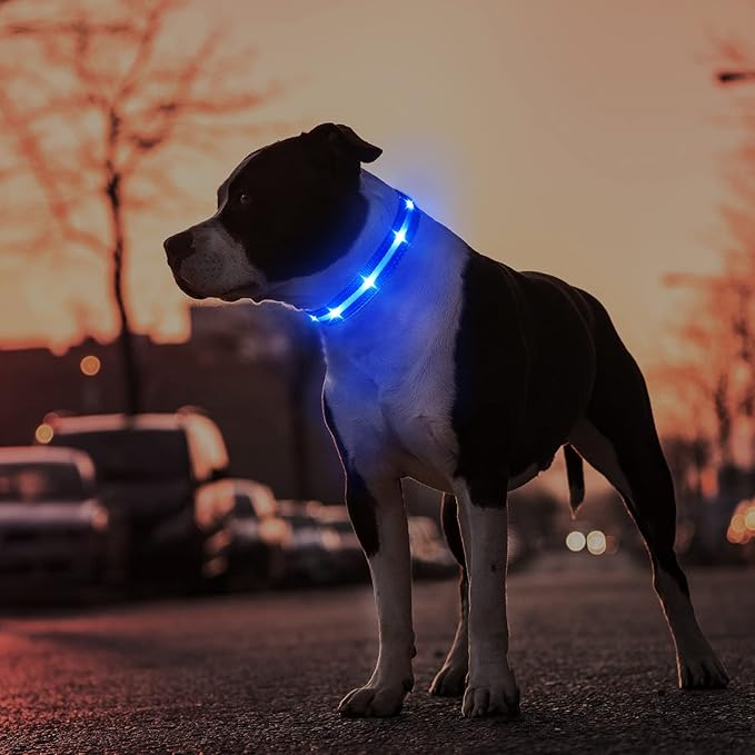 MASBRILL Led Dog Collar - Rechargeable, Water-Resistant, Flashing, Glowing Night Walking Collar