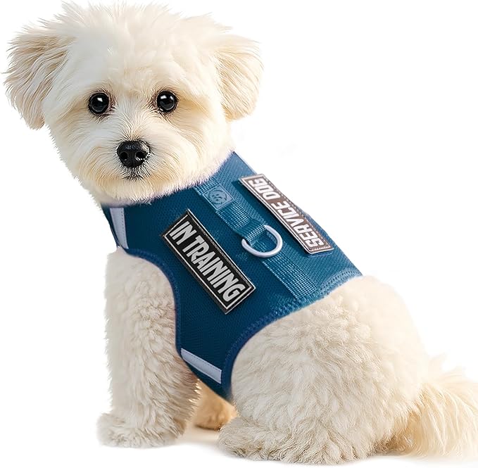Dog Harness for Puppy – Adjustable Reflective Easy Put On Soft Mesh Vest for Small Dogs with 2 Patches (Prussian Blue,S)