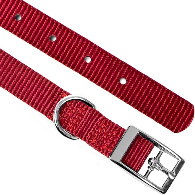 Jeffers Pet Solid Nylon Dog Collars, Red, 8" W x 12" L – Adjustable, Durable & Safe for Dogs, Lightweight & Double Ply Design, Stylish Pet Accessories - Perfect for Training, Walking & Tracker