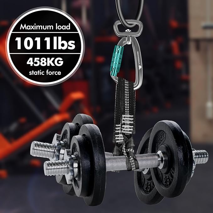 Locking Carabiner Clip 2.5" with Swivel Ring for Securing Pets, Dog Leash Harness, Camping, Hiking, Keychains