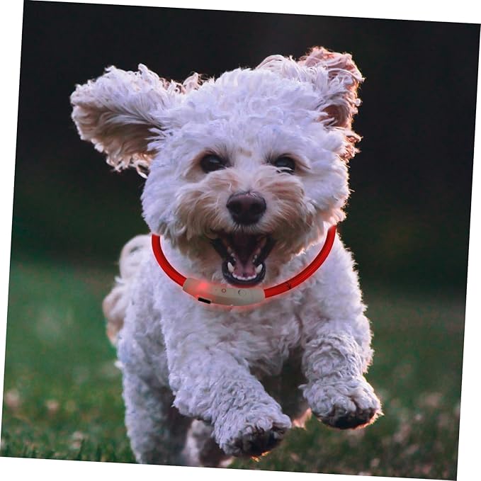 Led Glowing Puppy Collar USB Rechargeable Dog Accessory for Pets Eye-catching and Fashionable for Parties and
