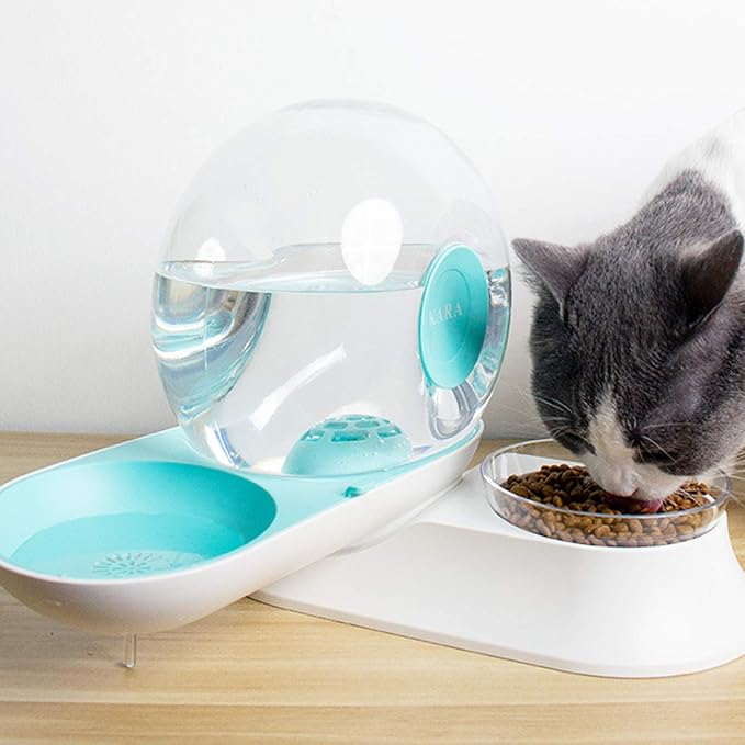 2 In1 Automatic Cats Dogs Water Dispenser Pet Food Bowls Set,No-Spill Dog Water Bottle & Dish Detachable Transparent Pet Feeder for Small Medium Size Dog Cat 2.8L