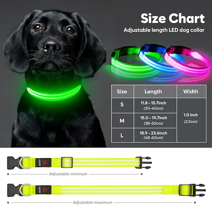 HIGO LED Dog Collar - Rechargeable Light Up Dog Collars Glow in The Dark, Flashing Dog Lights for Night Walking (Small, Green)