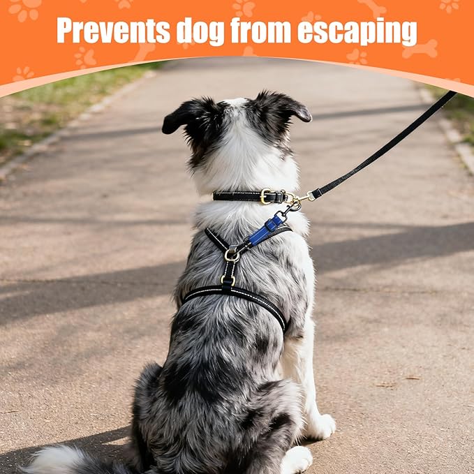 Dog Collar Safety Clip, Adjustable Backup Safety Strap, Double-Ended Leash Connector, High Reflectivity, Suitable for Dog Harnesses to Collar Safety Clips (Blue)