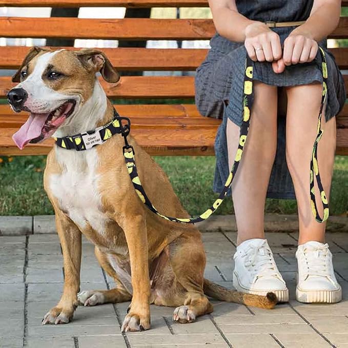 Cute Custom Dog Collar Leash Personalized Fruit Print Nylon Dog Collar Lead Engraved Name ID for Small Medium Large Dog Pitbull 159 Black Set S