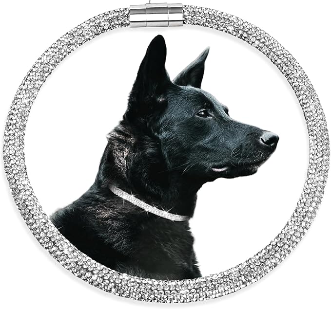 Stylish and Luxurious Diamond Dog Collar,Magnetically Absorbent Clasp,Full Diamond Design,Perfect for Wedding and Everyday Walking - Studded with Diamons Necklace Collar for Medium Dogs,18''