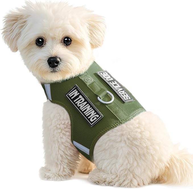 Dog Harness for Puppy – Adjustable Reflective Easy Put On Soft Mesh Vest for Small Dogs with 2 Patches (Misty Green,XXS)
