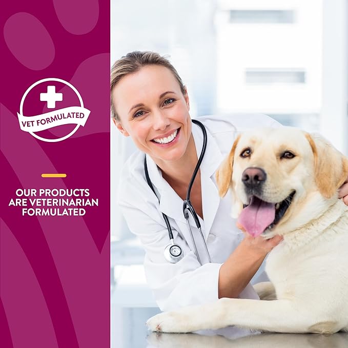 NaturVet Arthrisoothe Glucosamine for Dogs – Dog Supplement with Glucosamine, MSM, Chondroitin & Hyaluronic Acid – ArthriGold Level 3 – 240 Soft Chews