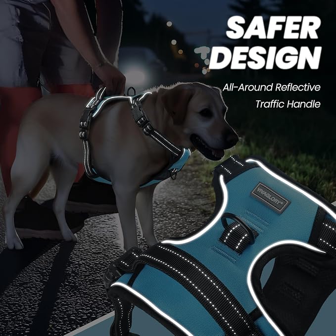 VIVAGLORY Dog Harness Easewalk No Pull Dog Harness with Handle Front Clip & Back Clip for Training Walking Lifting, No Pull Adjustable Easy On Padded Comfortable for Pet, XS, Sky Blue - Plain