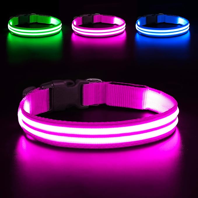 BSEEN Light Up Dog Collar, Glowing LED Dog Collar Rechargeable Lighted Pet Necklace Safety Dog Lights for Night Walking (Pink, Large)